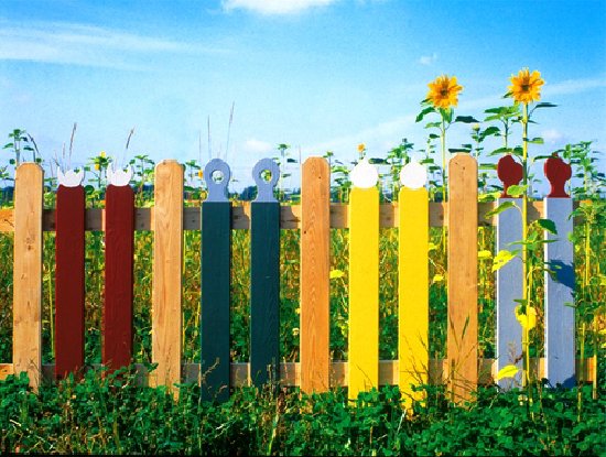 fence.jpg